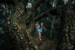 BIB: 
                            <button type="button" onclick="openModal(25685801)" class="btn btn-primary btn-sm float-right btn-popup" data-toggle="modal" data-target=".modal-high-quality">
                        <i class="fas fa-shopping-cart"></i> Add to Cart
                    </button>
                                            <button type="button" onclick="isThisMe(25685801, true)" class="btn btn-success btn-sm float-right btn-popup btn-isme hidden" data-toggle="tooltip" data-placement="bottom" title="นี่คือรูปของคุณใช่ไหม คลิกที่นี่เพื่อเอาเข้าอัลบั้ม">
                        <i class="fas fa-plus"></i> Add to album
                    </button>
                    <button type="button" onclick="isThisMe(25685801, false)" class="btn btn-warning btn-sm float-right btn-popup btn-isnotme hidden">
                        <i class="fas fa-ban"></i> Remove from album
                    </button>